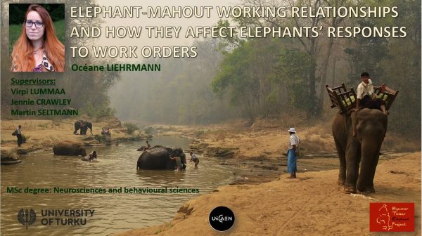 Myanmar Timber Elephant Project Océane Liehrmann Has